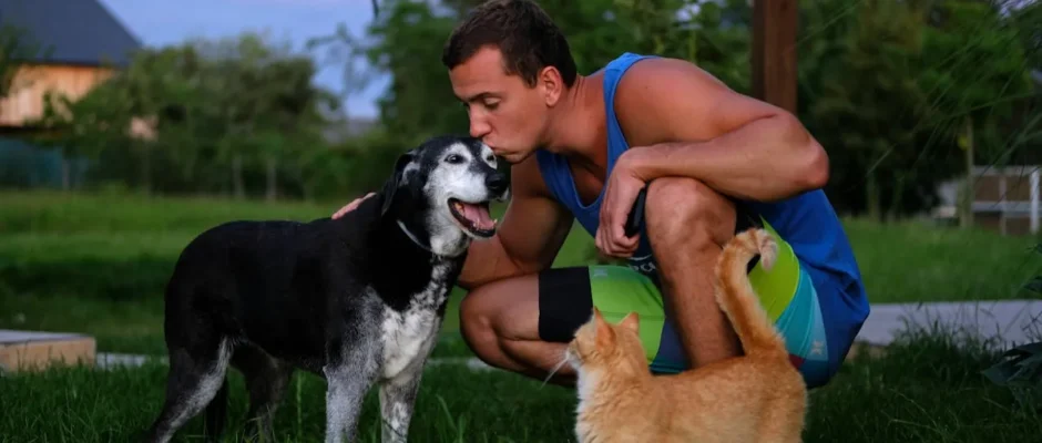 How To Keep Dogs And Cats Living Harmoniously? Read These 5 Methods Right Away!
