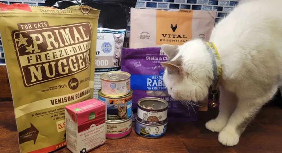 The 10 Best Limited Ingredient Cat Foods