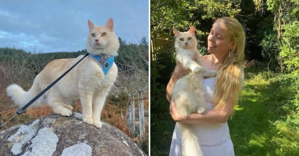 Juliet and Casper: How a Cat Became a Hiker’s Best Friend