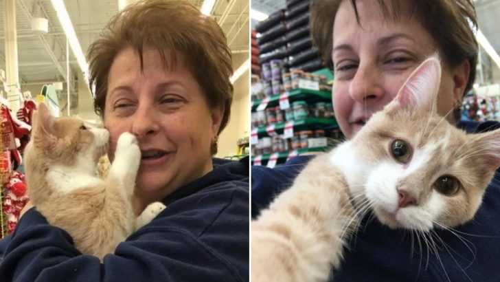 Cat Gives His New Mom Countless Kisses To Say ‘Thank You For Saving My Life’