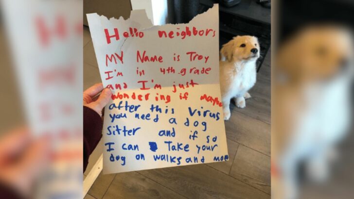 This Fourth-Grader’s Letter To His Neighbor Dog Owners Is Melting Hearts Across The Internet