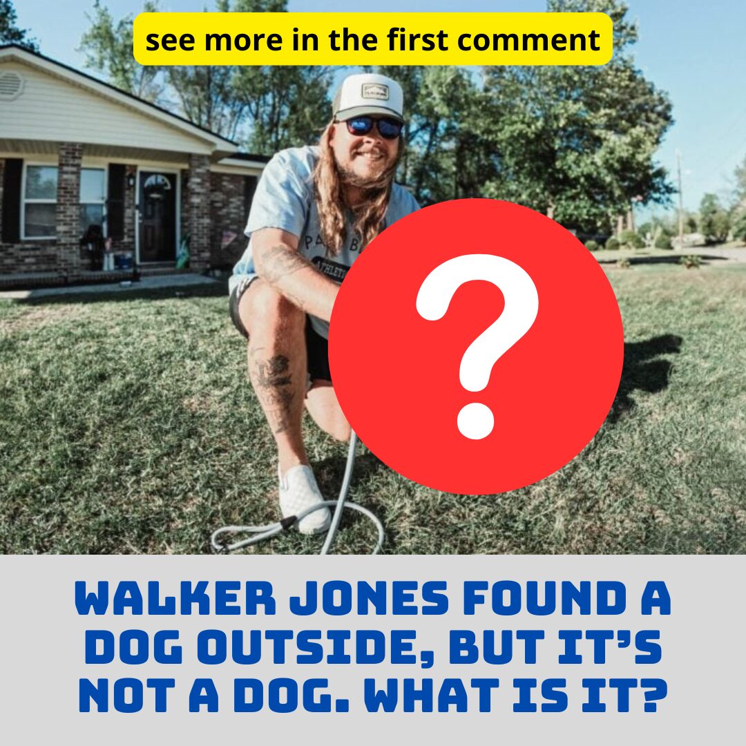 Walker Jones Found A Dog Outside, But It’s Not A Dog. What Is It?